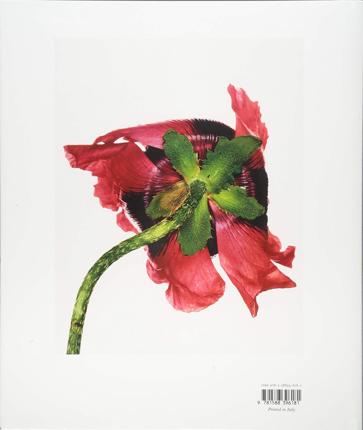 Irving Penn Centennial