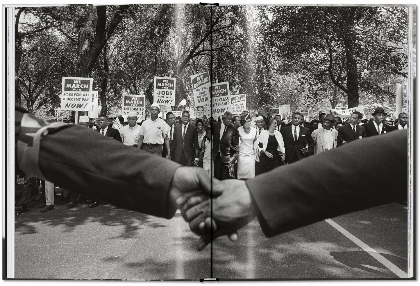 The fire next time - James Baldwin, Steve Schapiro