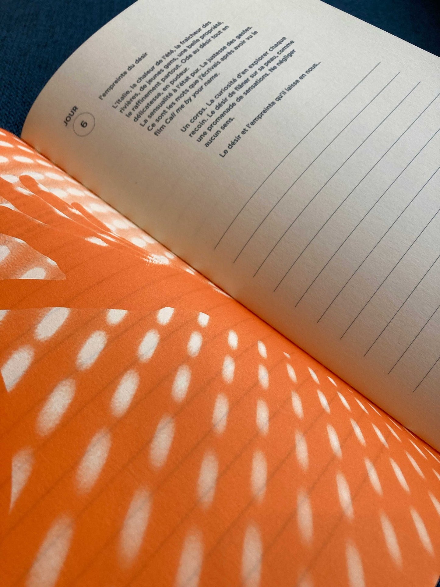 Carnet N°4 - Des rêves et des désirs.