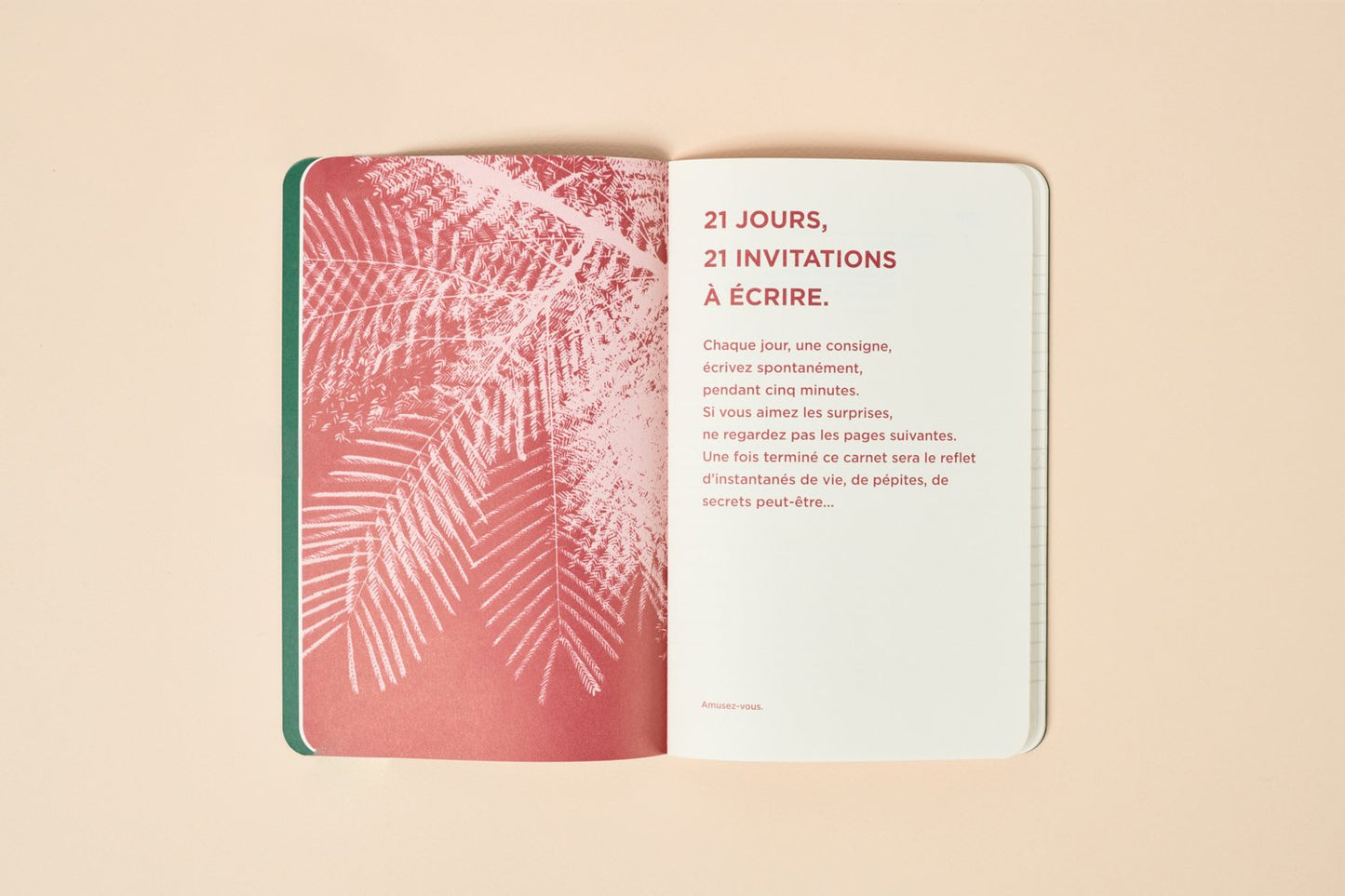 Carnet N°1 - Cinq minutes, pas plus.