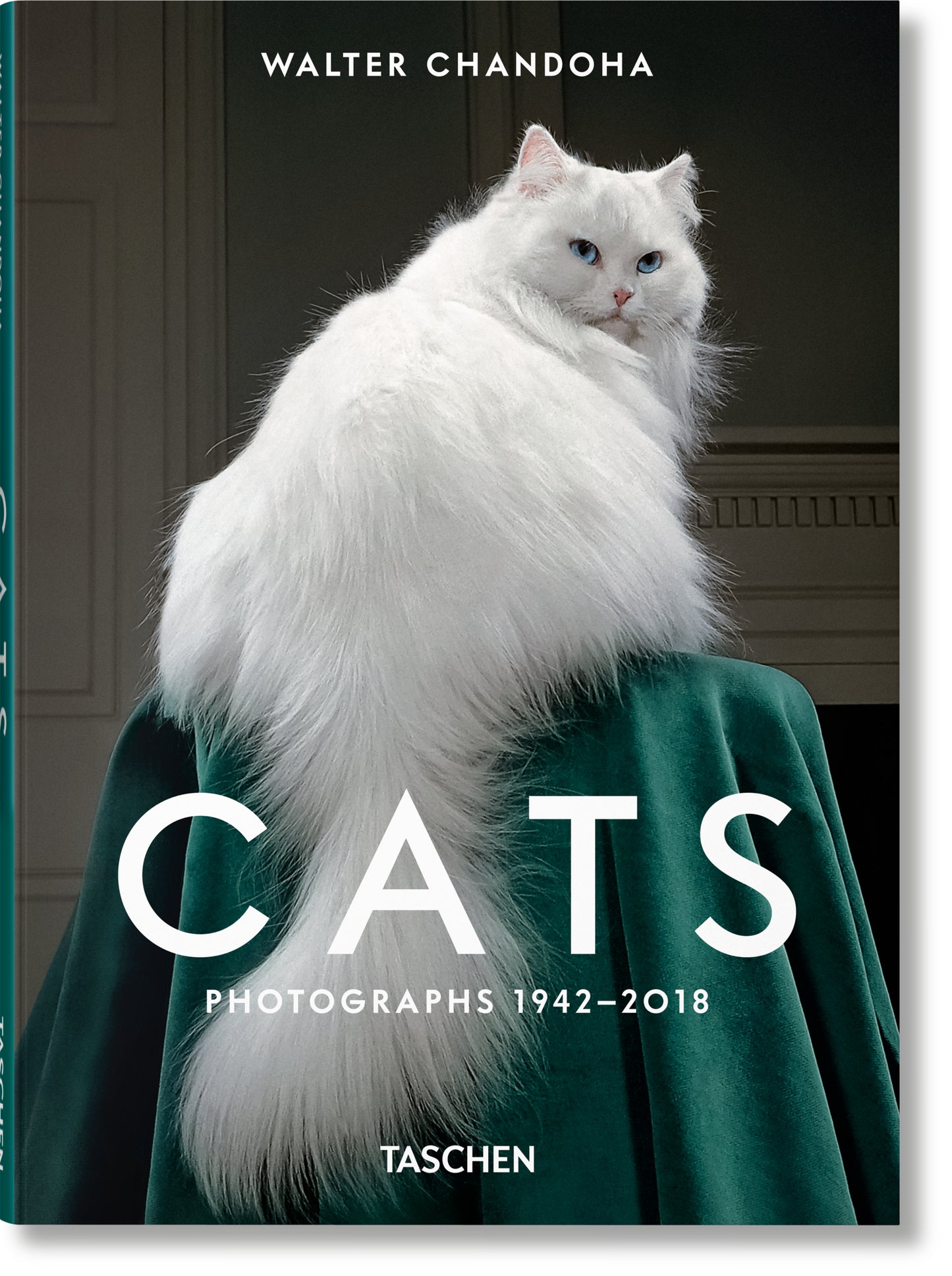 CATS - Walter Chandoha