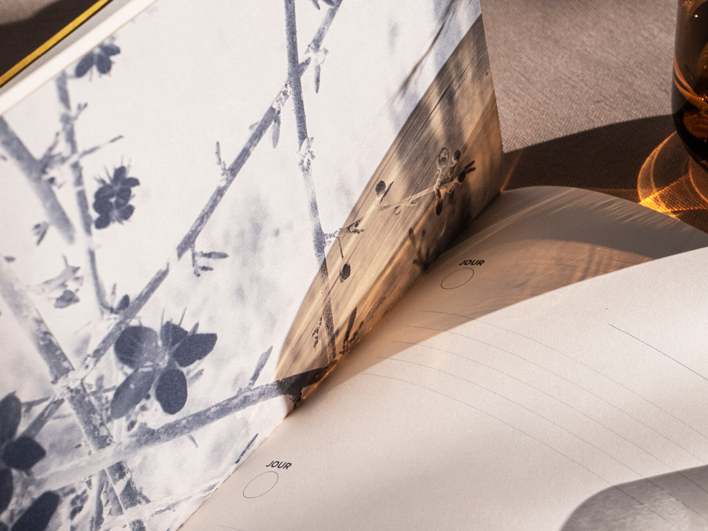 Carnet N°2 - Un jour, une phrase