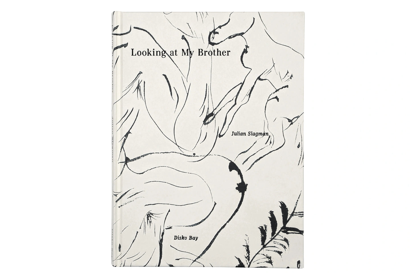 Looking at my brother de Julian Slagman