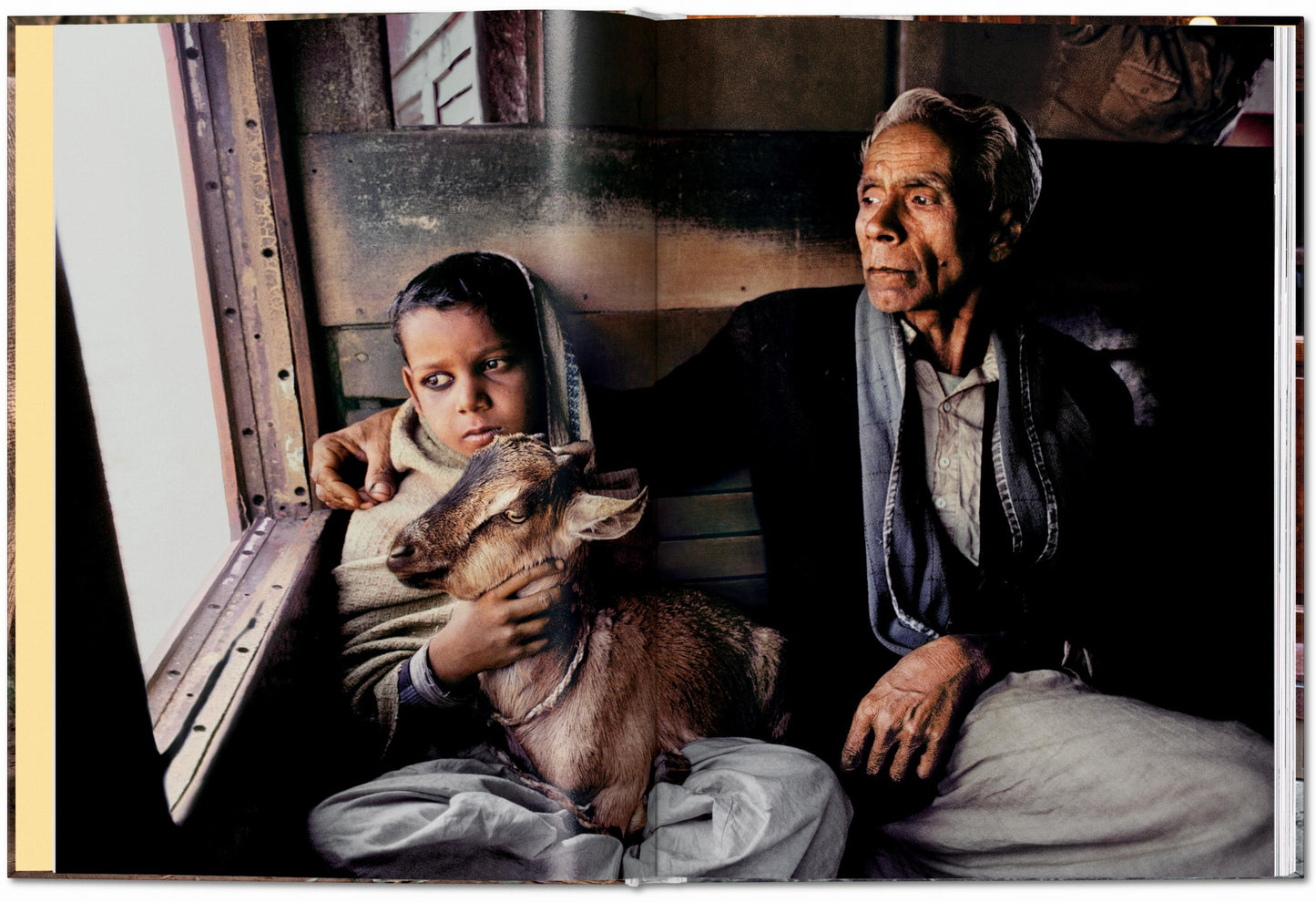 ANIMALS - Steve McCurry