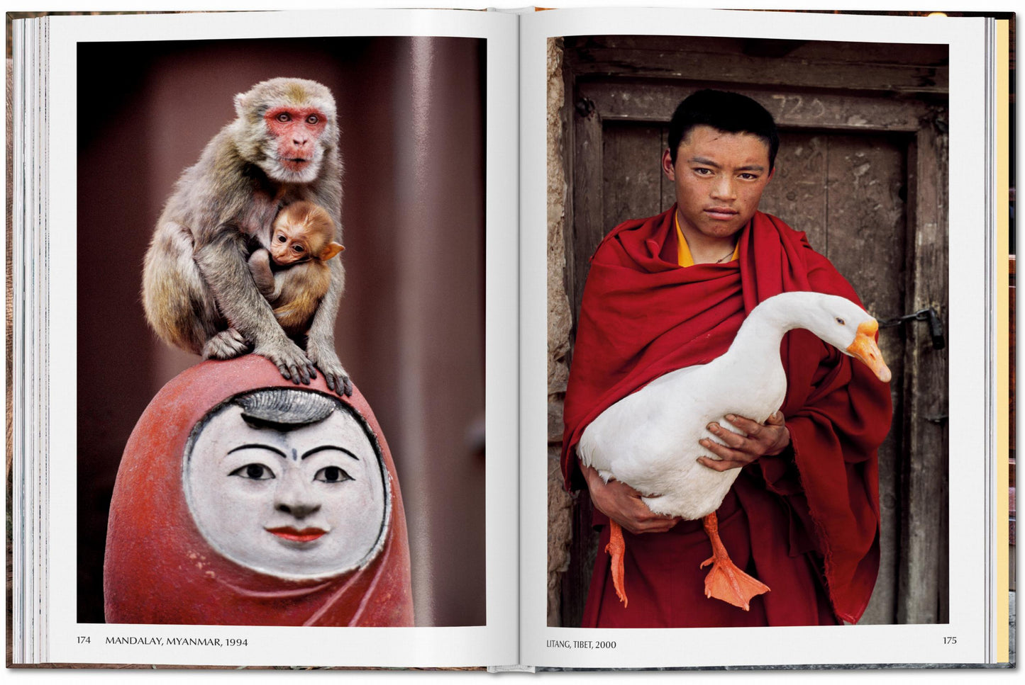 ANIMALS - Steve McCurry
