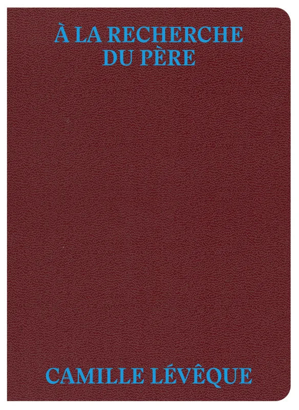 À la recherche du père - Camille Lévêque