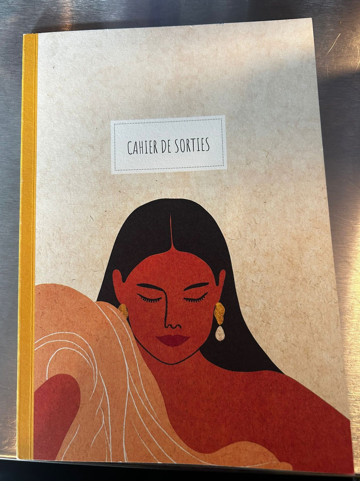 Carnet de sorties
