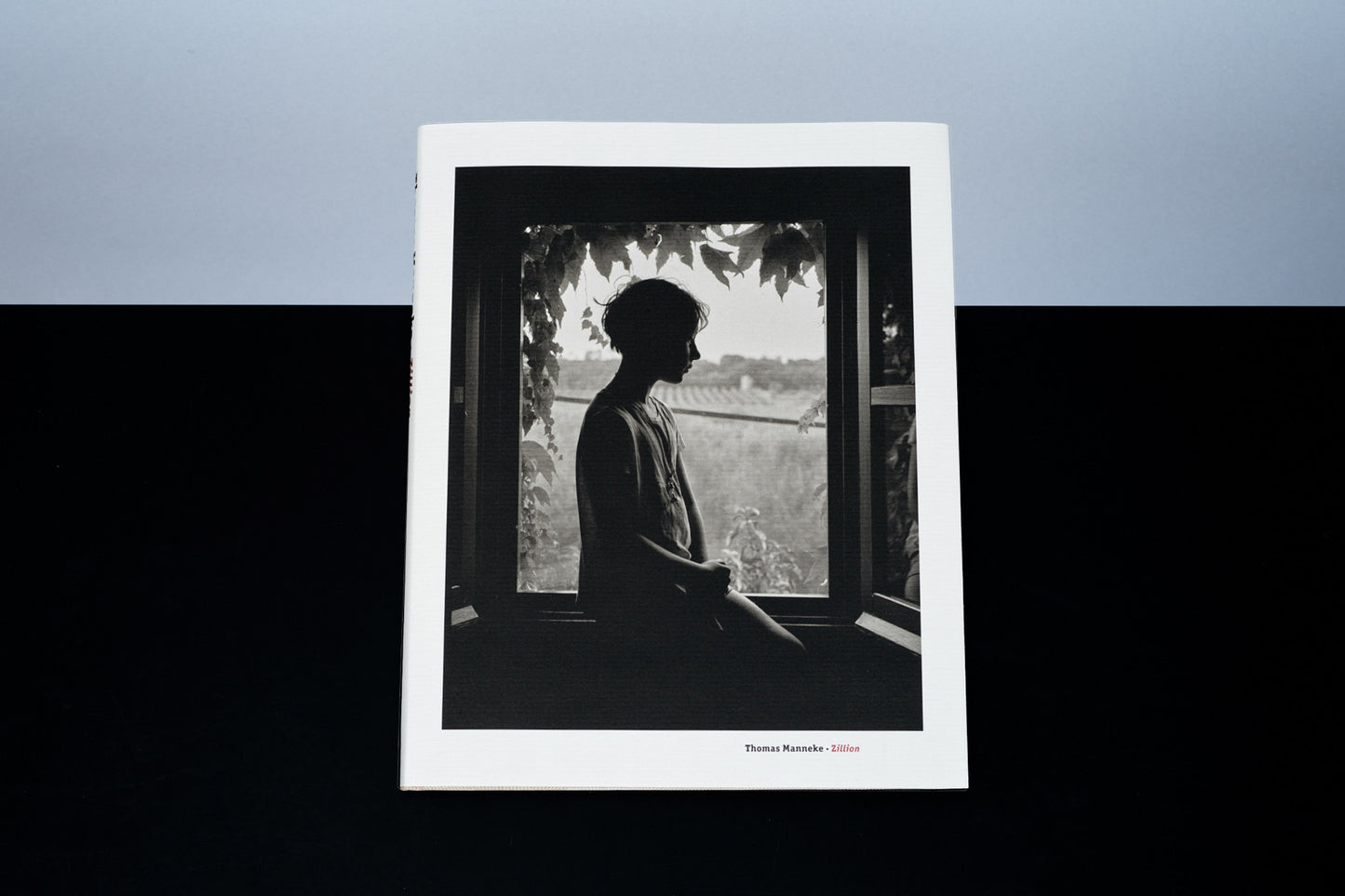 Zillion - Thomas Manneke