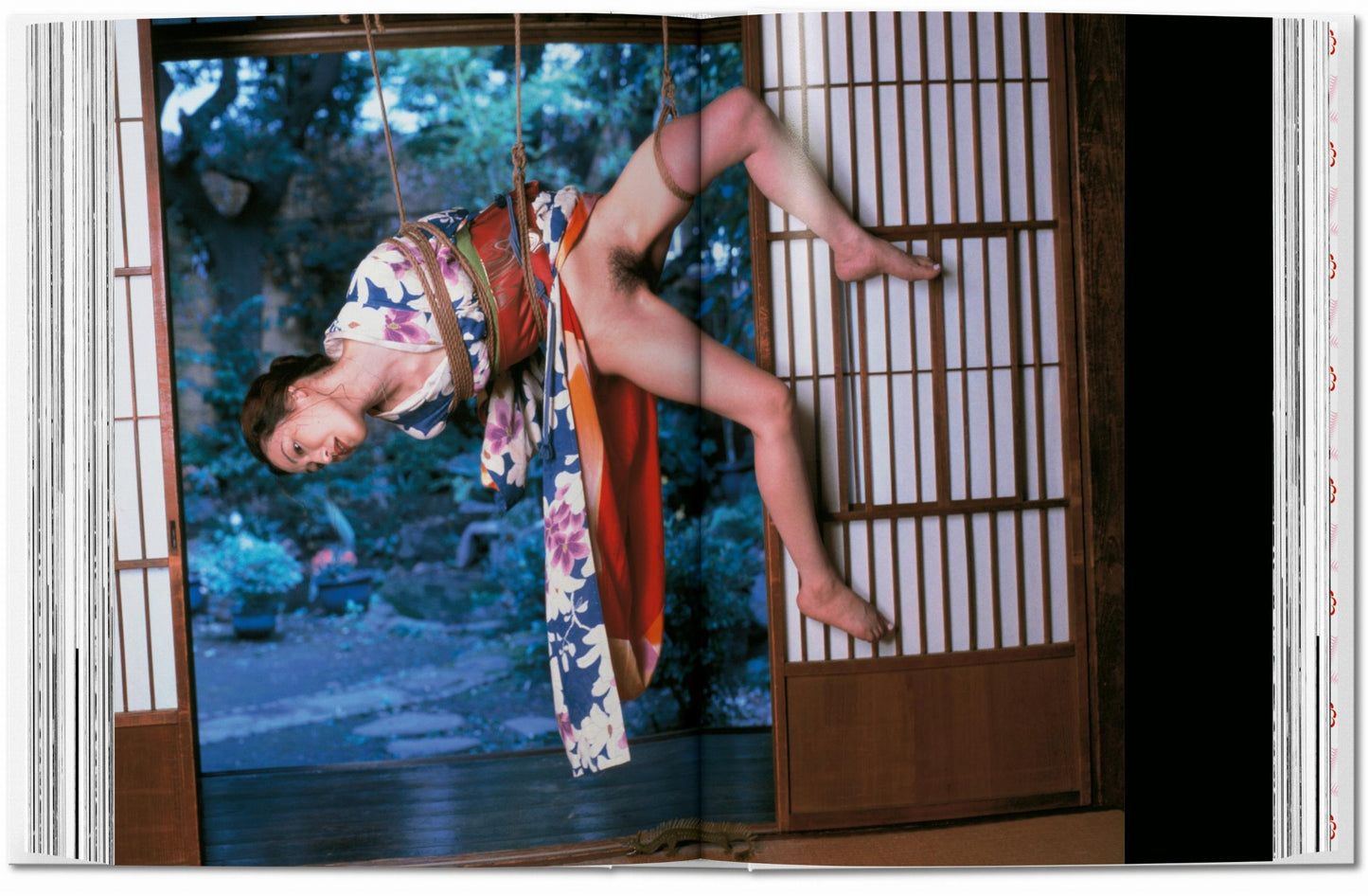 ARAKI (public averti)