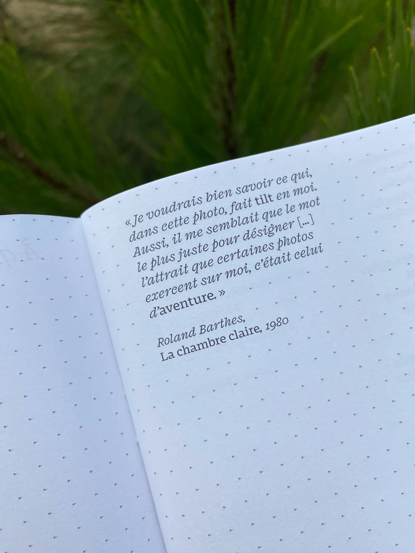 Carnet - À quoi rêvent les photographies ?