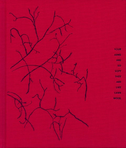 Your arms are soft they are like lamb wool de Orri Jónsson