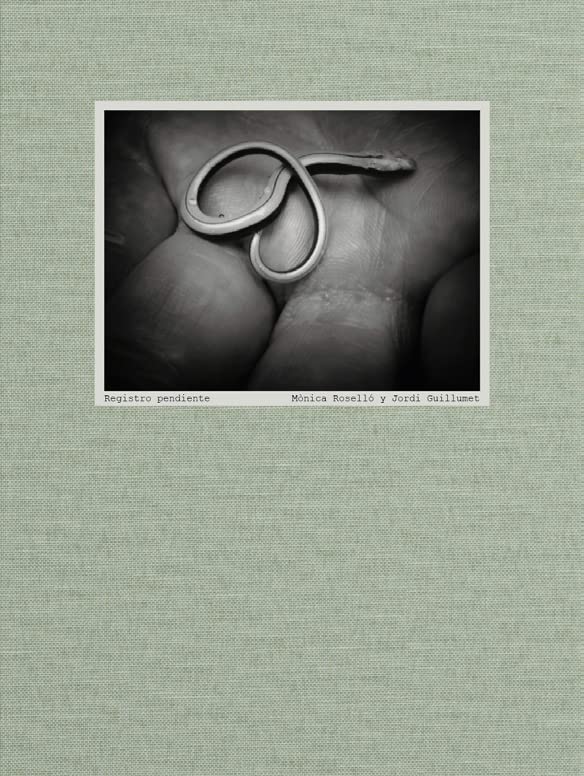 Registro pendiente de Mònica Rosellò et Jordi Guillumet