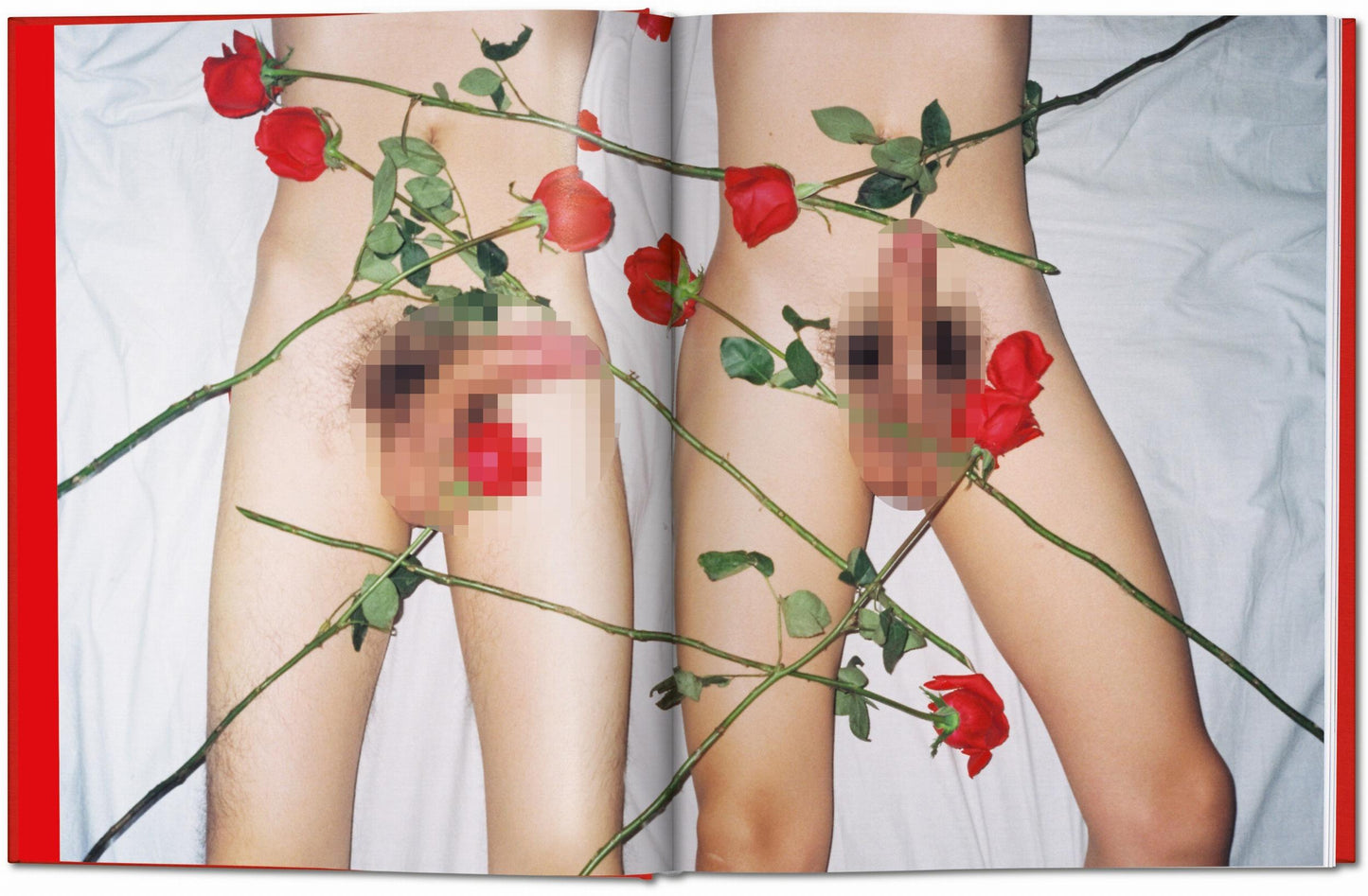 Ren Hang - Dian Hanson (adults only!)
