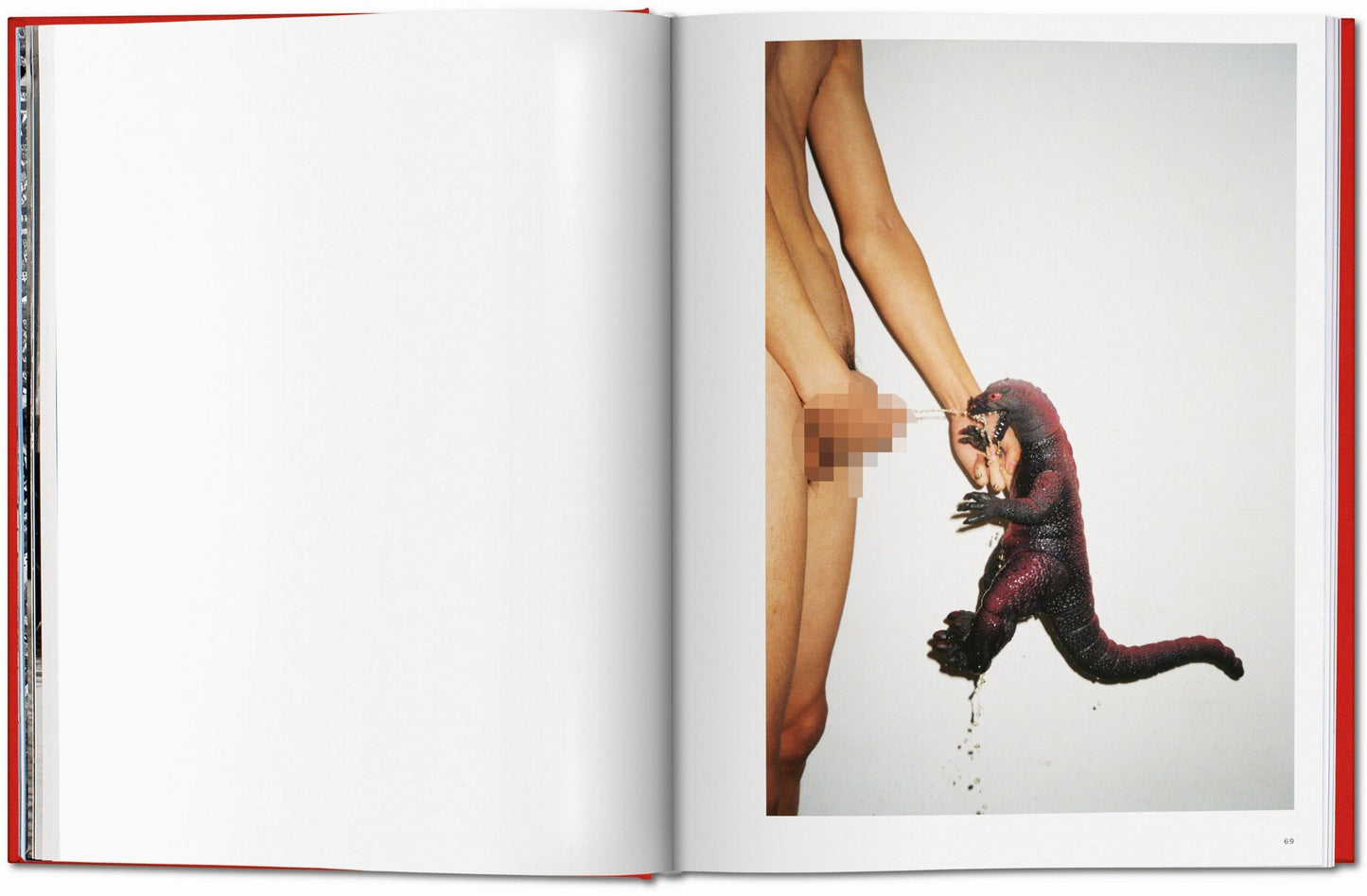 Ren Hang - Dian Hanson (adults only!)