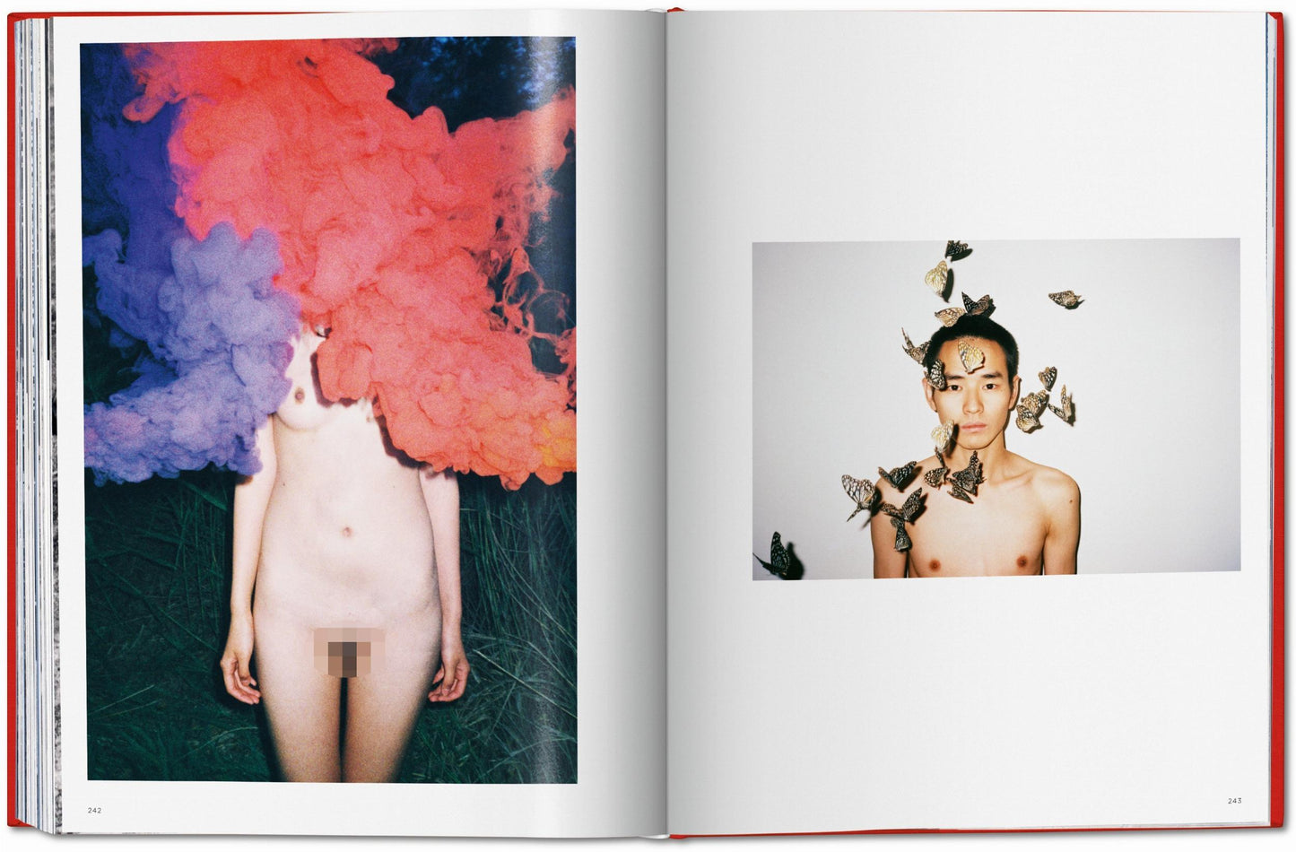 Ren Hang - Dian Hanson (adults only!)