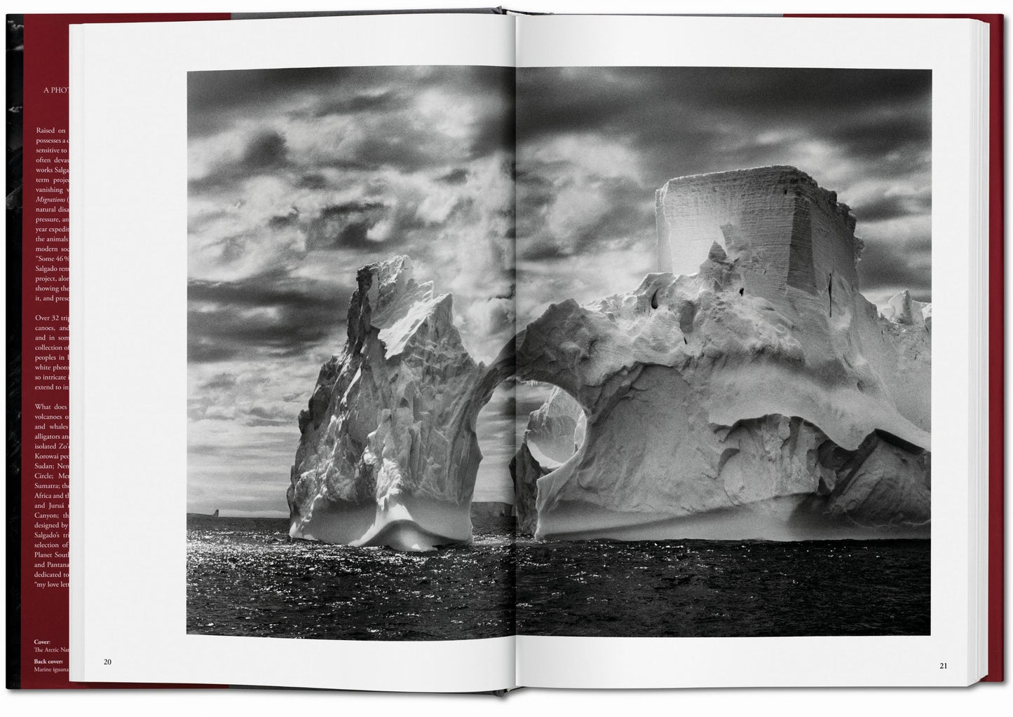 GENESIS - S. Salgado