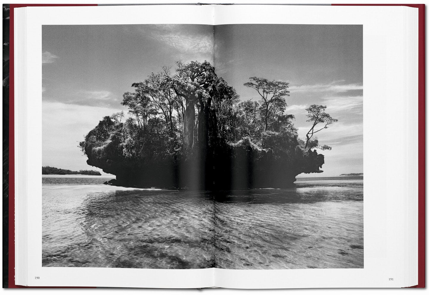 GENESIS - S. Salgado
