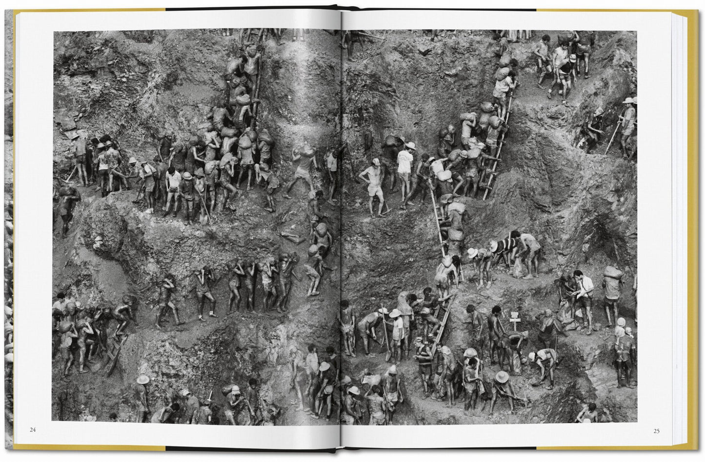 GOLD - S. Salgado