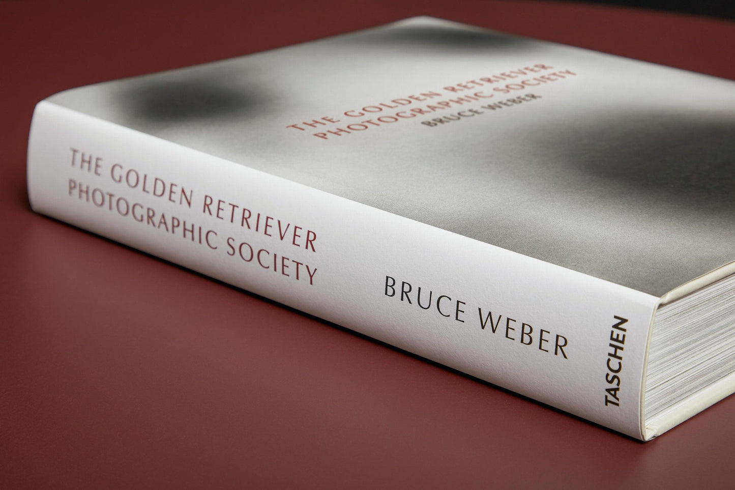 The Golden Retriever Photographic Society - Bruce Weber