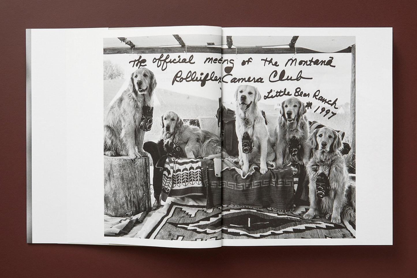 The Golden Retriever Photographic Society - Bruce Weber