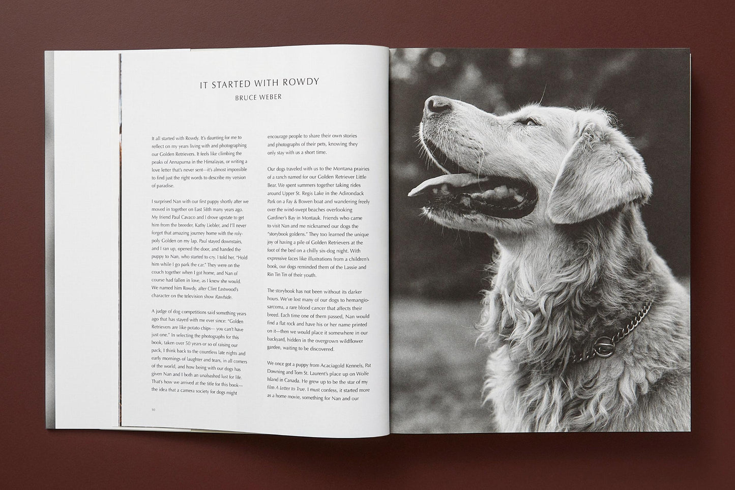 The Golden Retriever Photographic Society - Bruce Weber