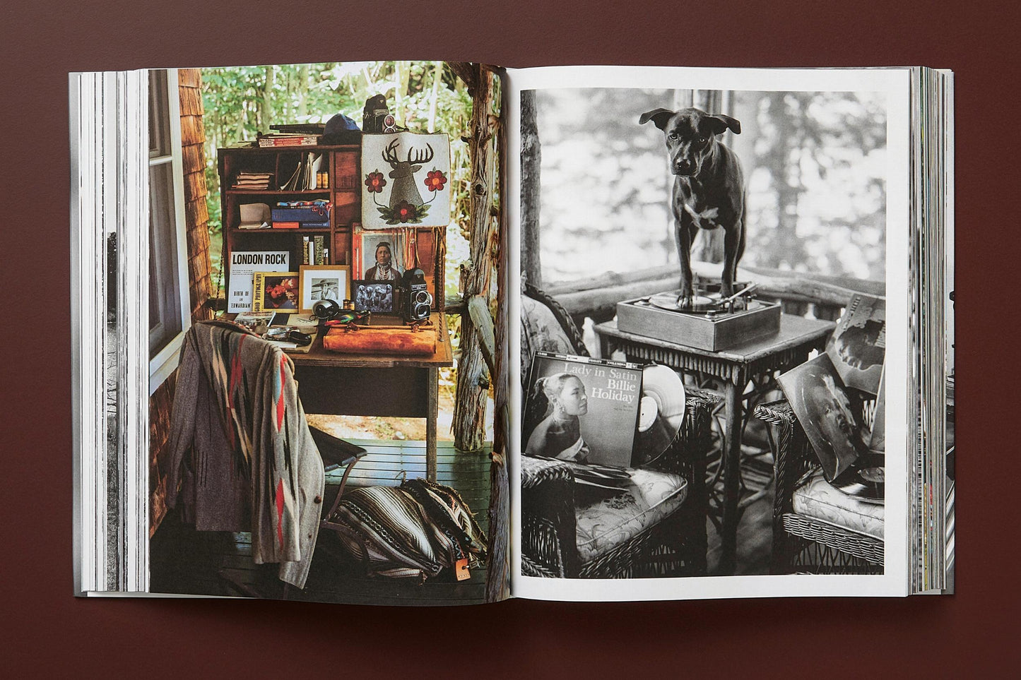 The Golden Retriever Photographic Society - Bruce Weber
