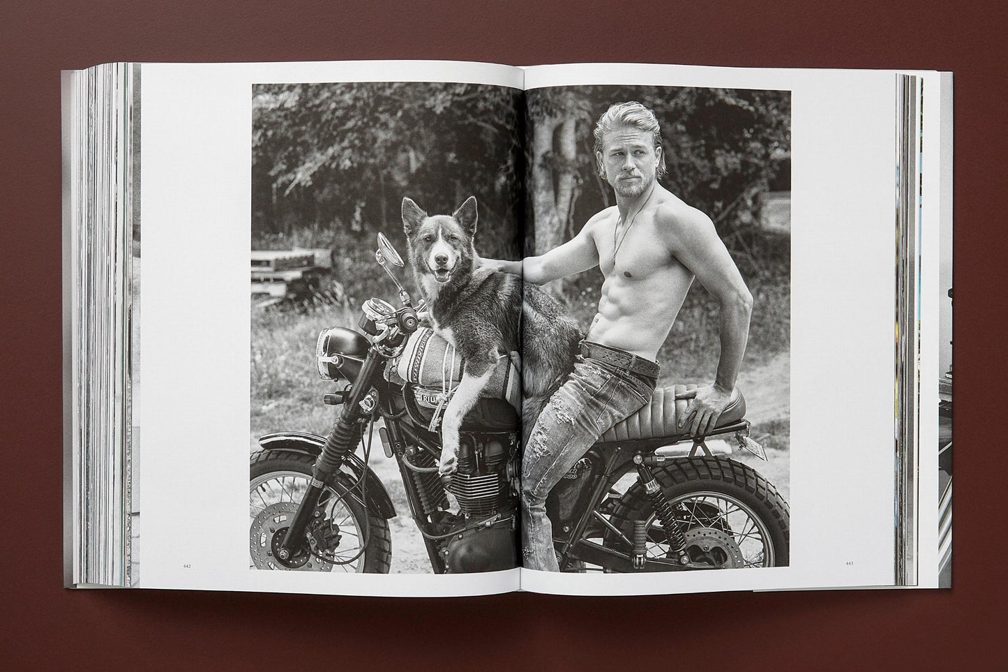 The Golden Retriever Photographic Society - Bruce Weber