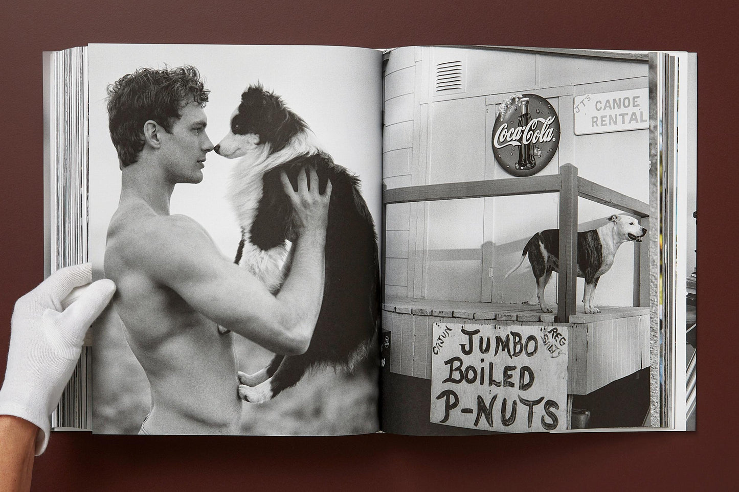 The Golden Retriever Photographic Society - Bruce Weber