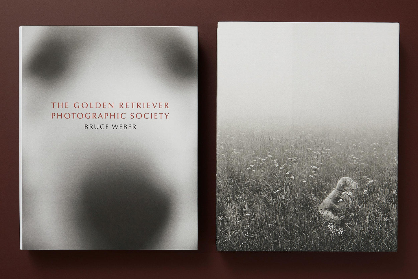 The Golden Retriever Photographic Society - Bruce Weber