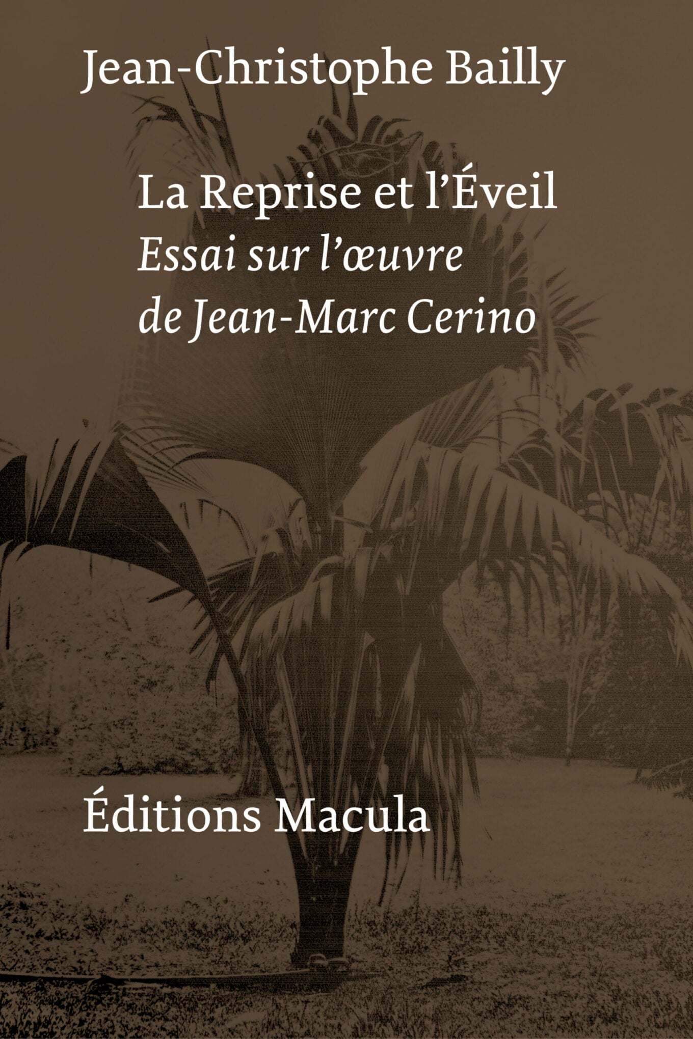 La reprise et l'éveil - Jean-Christophe Bailly