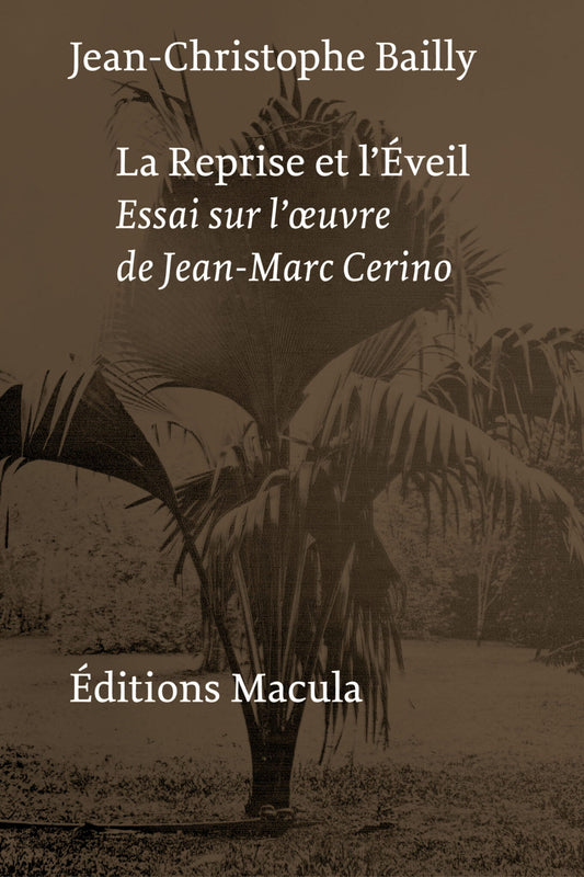 La reprise et l'éveil - Jean-Christophe Bailly