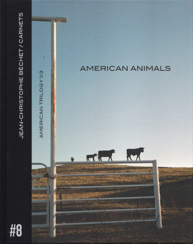 CARNET #8 AMERICAN ANIMALS - BECHET JEAN-CHRISTOPHE