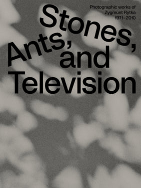 Stones, Ants, and Television - Zygmunt Rytka