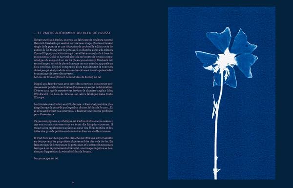 La magie du cyanotype: Immortaliser la nature