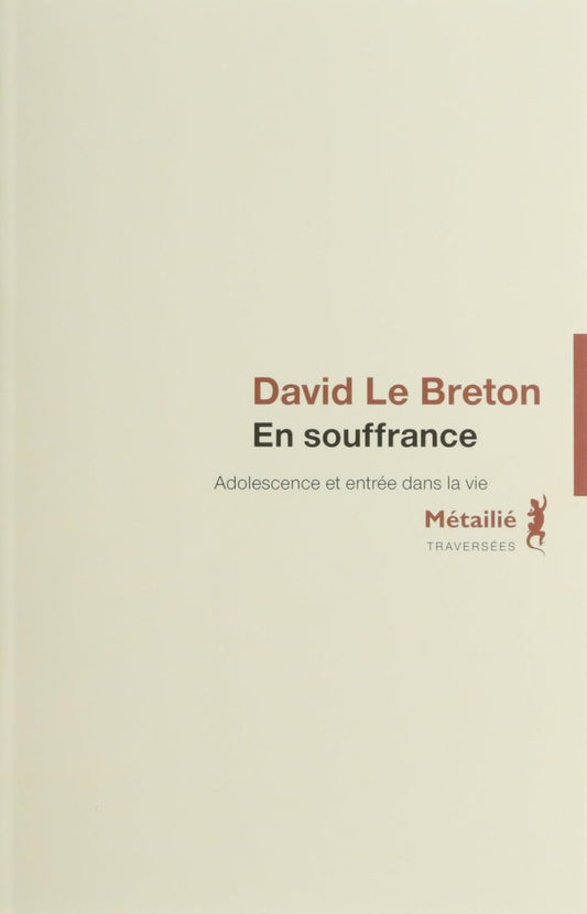 En souffrance : adolescence et entrée dans la vie - David Le Breton