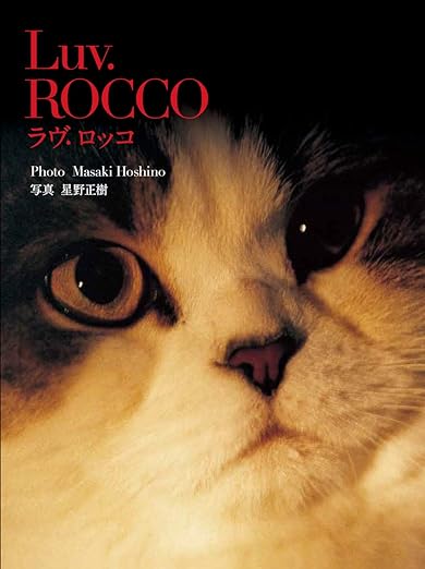 Luv. ROCCO - Masaki Hoshino