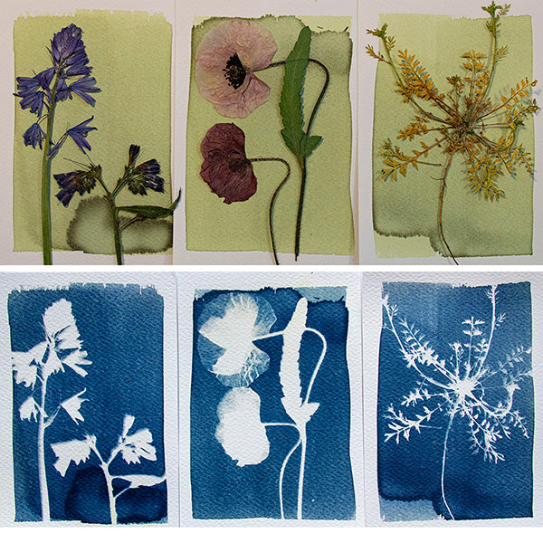 Kit Cyanotype