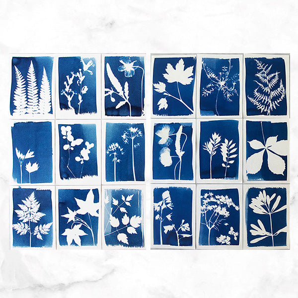 Kit Cyanotype