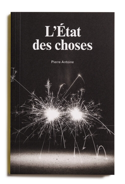 L'état des choses - Pierre Antoine