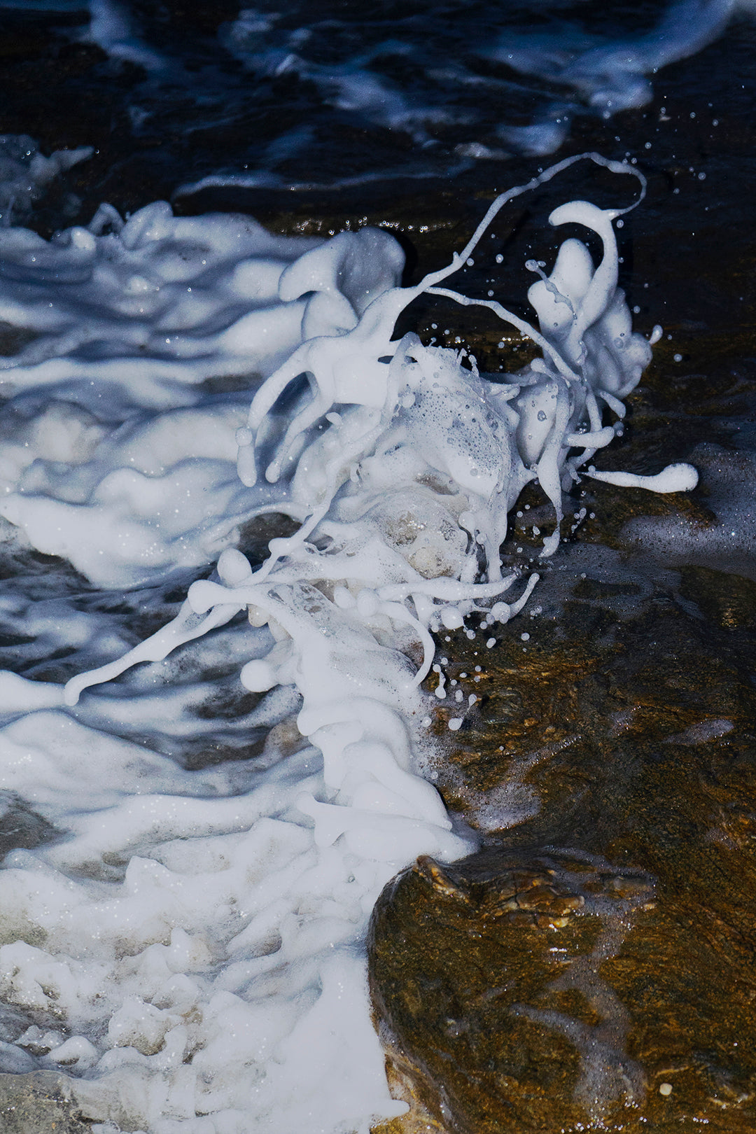 Atelier Matthias Pasquet du 14 FEVRIER 2026 - Figure Aquatique