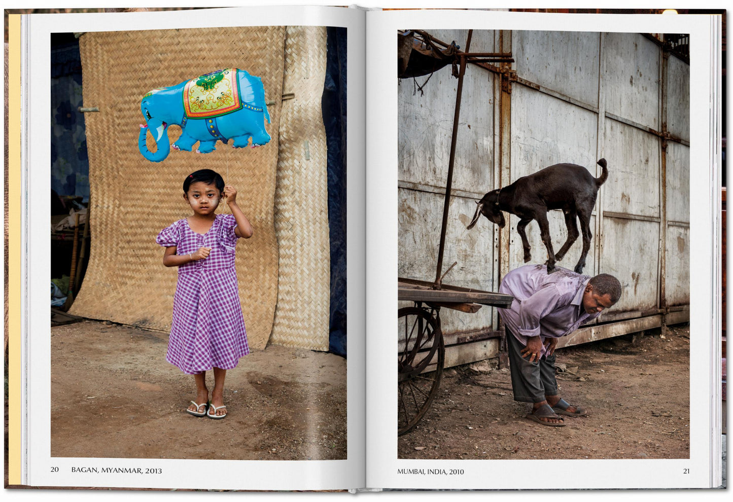 ANIMALS - Steve McCurry