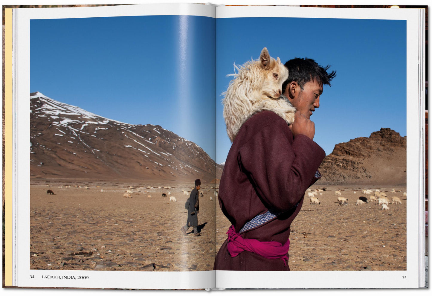 ANIMALS - Steve McCurry