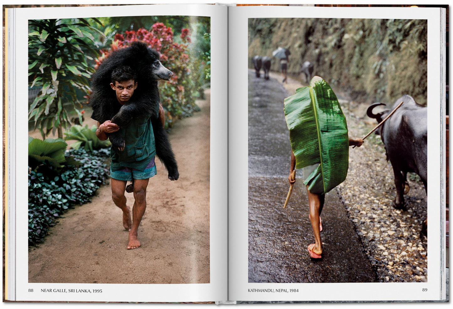 ANIMALS - Steve McCurry