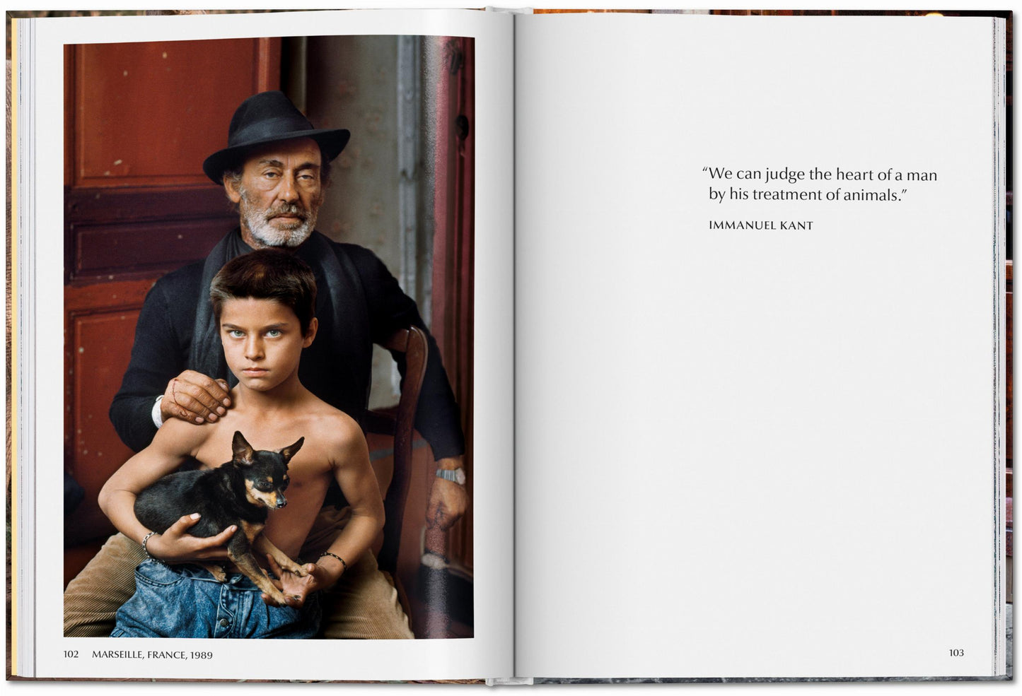 ANIMALS - Steve McCurry