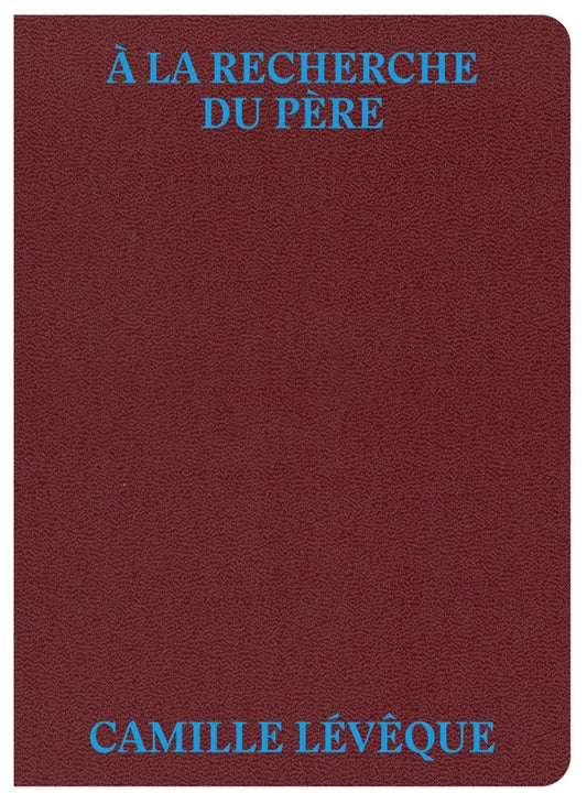 À la recherche du père - Camille Lévêque
