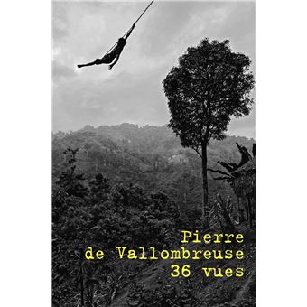 36 vues : Pierre de Vallombreuse