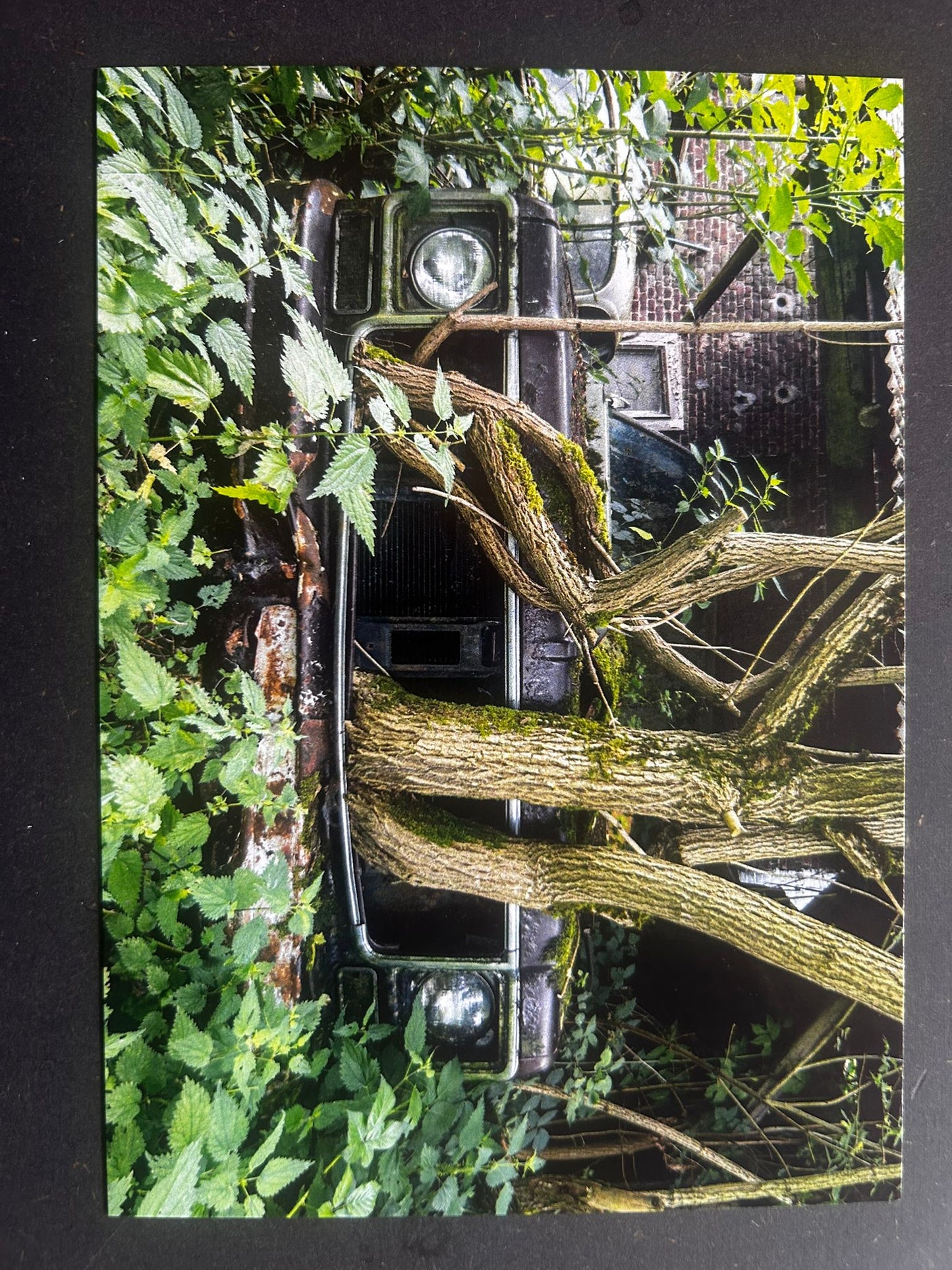 Carte Postale Jonk