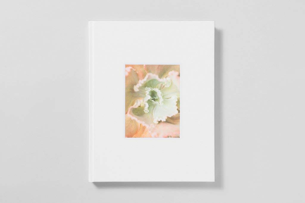 Mona Kuhn : Bushes and Succulents