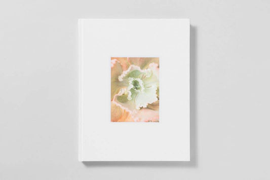 Mona Kuhn : Bushes and Succulents