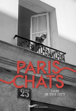 Paris - Chats / Cats in the city